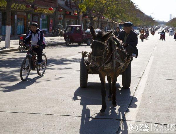 阳谷县人口_阳谷县地图全图高清版下载 阳谷县地图全图高清版 极光下载站(2)