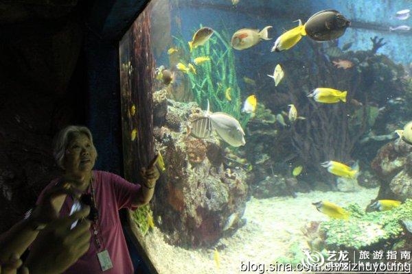 为什么叫老虎滩海洋公园 0006zG3S.jpg