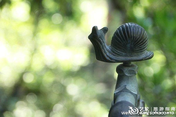 秘密花园学画记(二):欢乐大龄吃货班