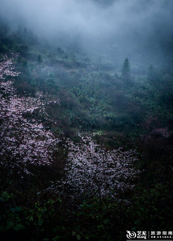 青龙县人口最多村_青龙县蛇盘兔村山景(3)