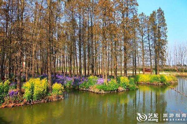 泰州兴化古称昭阳,又名楚水,自古就是人杰地灵之地。说到人杰,中国四大名著之一《水浒装》的作者施耐庵在这里著就了鸿篇巨著《水浒传》;扬州八怪之首郑板桥乃此地土生土长;还有如下数据为证:自南宋咸淳至清末光绪,兴化共有262人中举,93人中进士,1人中状元,如此高的记录全国罕见。至于地灵,兴化是中国著名的鱼米之乡、历年来荣获首批国家级全域旅游示范区、国家国家生态示范区、国家卫生城市、全国百强县、全国环保模范城市和江苏省文化名城等名号。 如果让我点评兴化的旅游资源,我认为千垛油菜花海和李中水上森林公园绝对是在全国