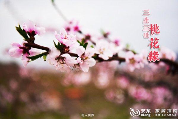 【丹东河口】灼灼其华，三生三世桃花缘, rainman旅游攻略 - 艺龙旅游社区