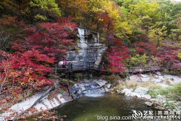 实拍:辽宁岫岩县的美丽湿地,魅力满满(图)