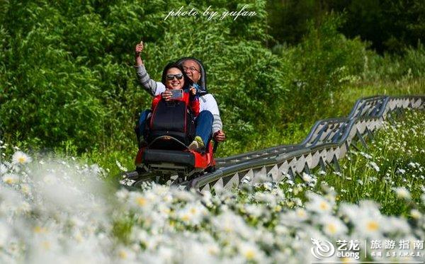 长白山征西滑道,呼啸而下的刺激中欣赏仙境般的森林花海