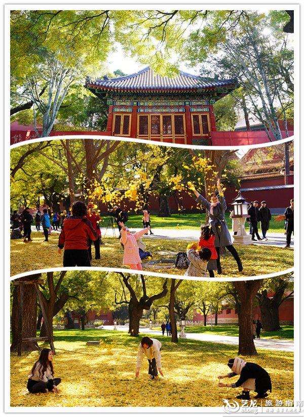 秋天的故宫,美成了一首诗, luna熊猫爱旅游攻略