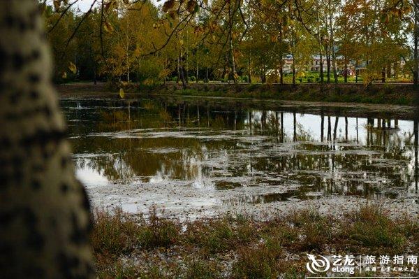 被森林包围的整齐住宅,是塔河镇特有的美丽.图片