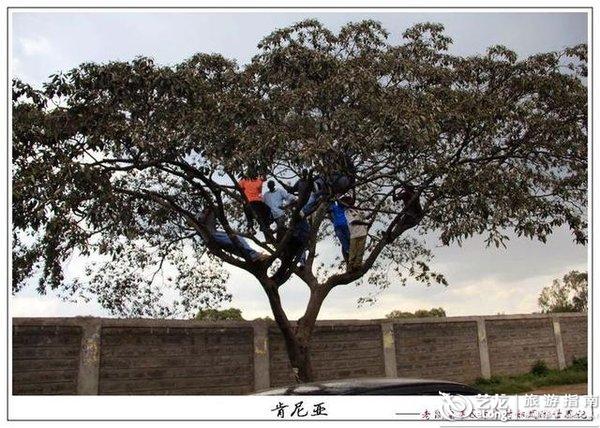 地方,痞气痞气拨打拨打土客土客的意思很