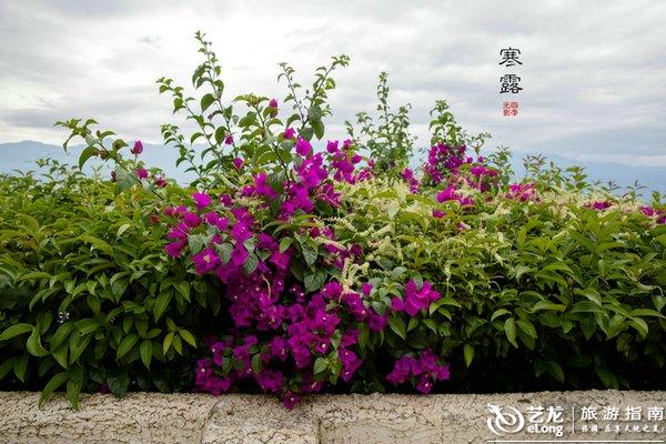 【寒露】时光不柔软又何妨 <wbr>唱首歌给自己听丨大理 【寒露】时光不柔软又何妨 <wbr>唱首歌给自己听丨大理