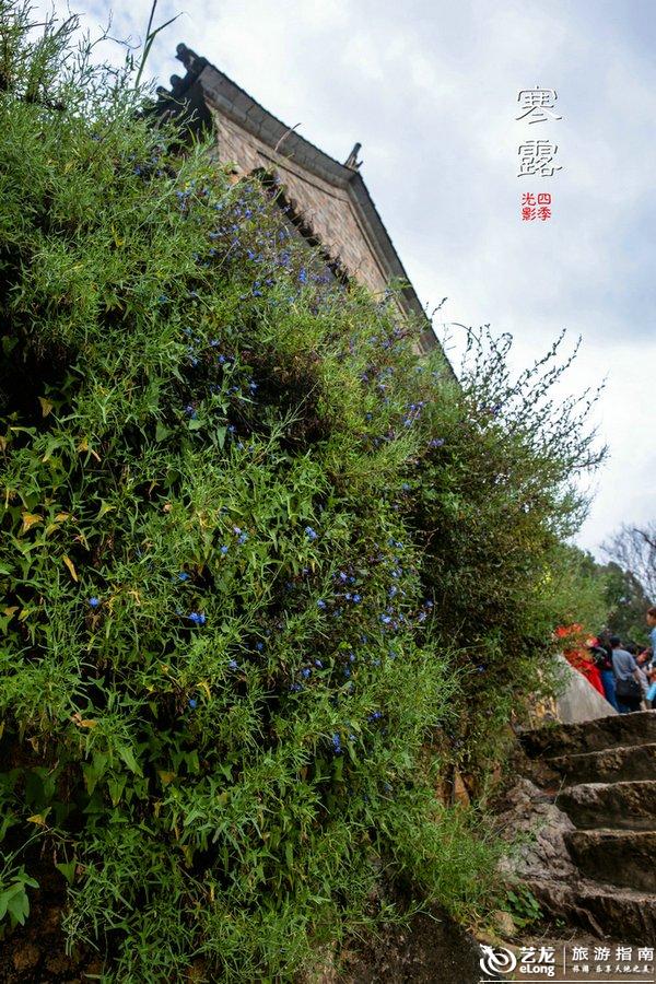 【寒露】时光不柔软又何妨 <wbr>唱首歌给自己听丨大理 【寒露】时光不柔软又何妨 <wbr>唱首歌给自己听丨大理