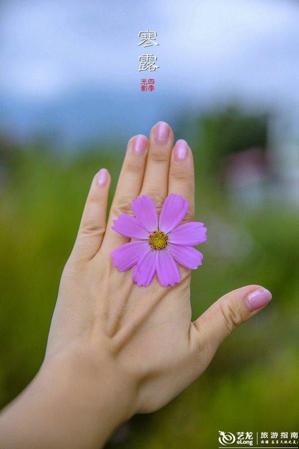 【寒露】时光不柔软又何妨 <wbr>唱首歌给自己听丨大理 【寒露】时光不柔软又何妨 <wbr>唱首歌给自己听丨大理