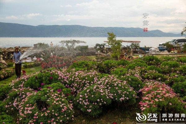 【寒露】时光不柔软又何妨 <wbr>唱首歌给自己听丨大理 【寒露】时光不柔软又何妨 <wbr>唱首歌给自己听丨大理