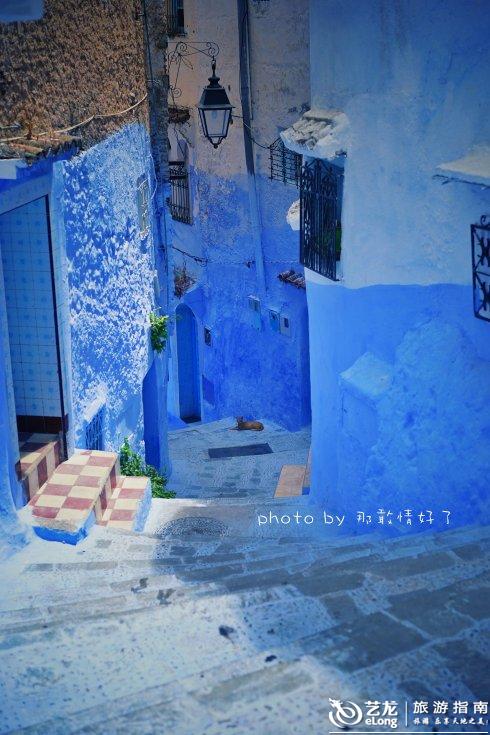 上猫最多的国家,遇上世界上最美的蓝白小镇舍