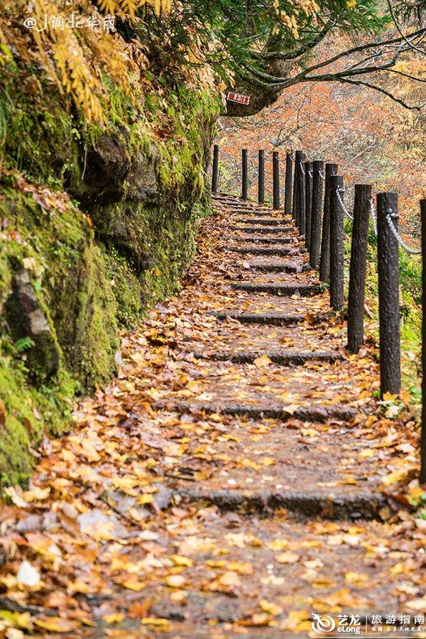 【日本】边坐新干线边泡足汤,去银山温泉寻找《千与千寻》真实场景地