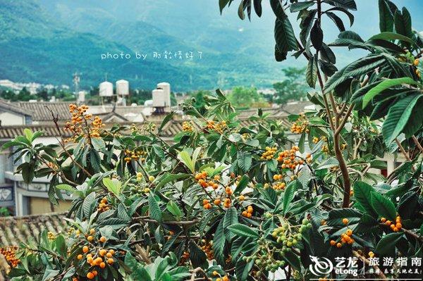 26小时自驾游大理,两个人苍山洱海间的消遣|清新文艺之旅 26小时自驾游大理,两个人苍山洱海间的消遣|清新文艺之旅