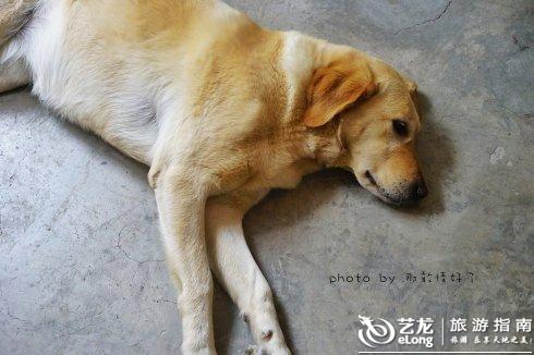 26小时自驾游大理,两个人苍山洱海间的消遣|清新文艺之旅 26小时自驾游大理,两个人苍山洱海间的消遣|清新文艺之旅