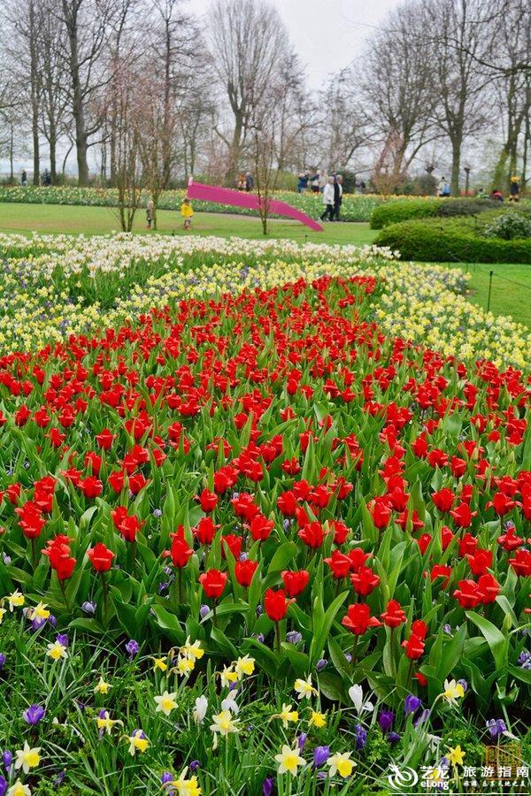 700万株鲜花点缀世界上最美的春天