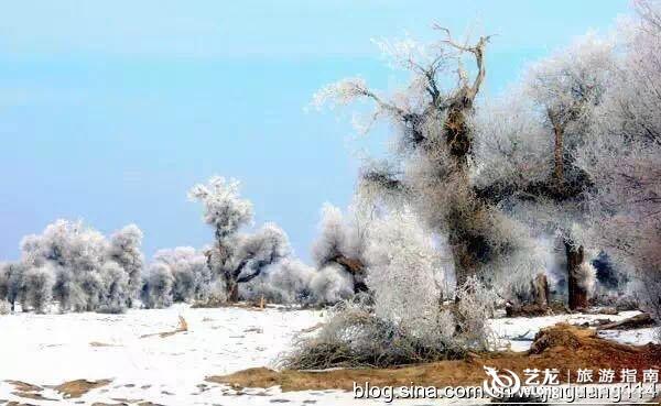 新疆自驾游 新疆自驾游