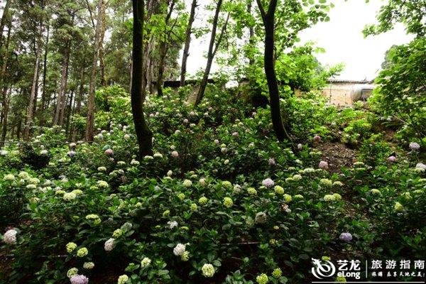 步入高铁时代,大理这十个小地方等你来打卡 步入高铁时代,大理这十个小地方等你来打卡