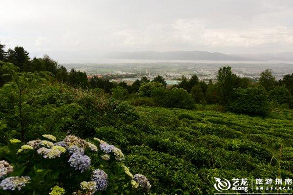 步入高铁时代,大理这十个小地方等你来打卡 步入高铁时代,大理这十个小地方等你来打卡