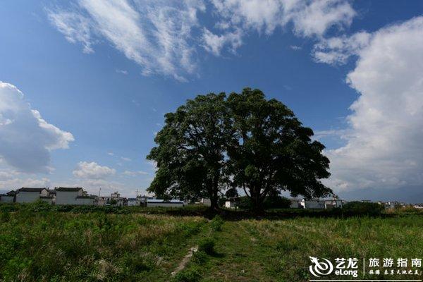 步入高铁时代,大理这十个小地方等你来打卡 步入高铁时代,大理这十个小地方等你来打卡