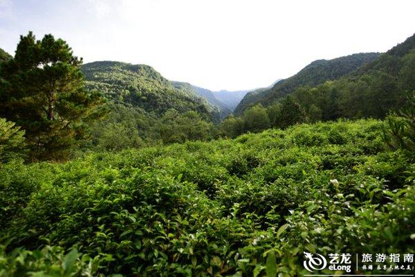 步入高铁时代,大理这十个小地方等你来打卡 步入高铁时代,大理这十个小地方等你来打卡