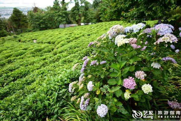 步入高铁时代,大理这十个小地方等你来打卡 步入高铁时代,大理这十个小地方等你来打卡