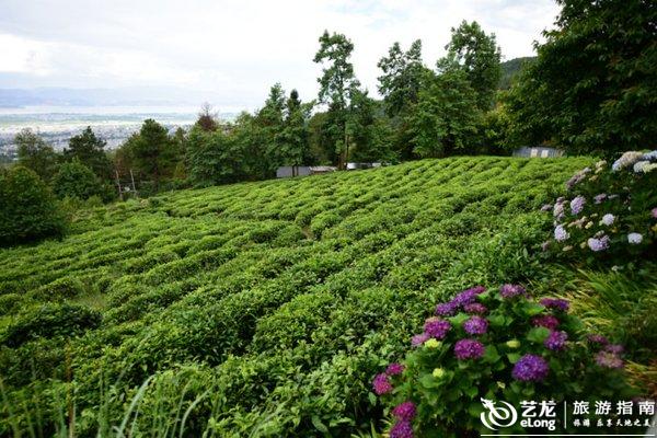 步入高铁时代,大理这十个小地方等你来打卡 步入高铁时代,大理这十个小地方等你来打卡
