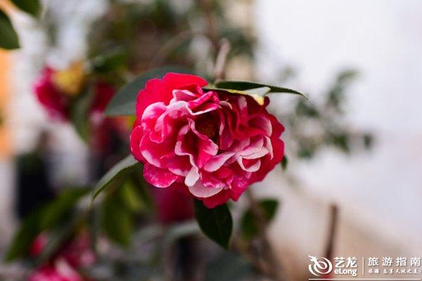 步入高铁时代,大理这十个小地方等你来打卡 步入高铁时代,大理这十个小地方等你来打卡
