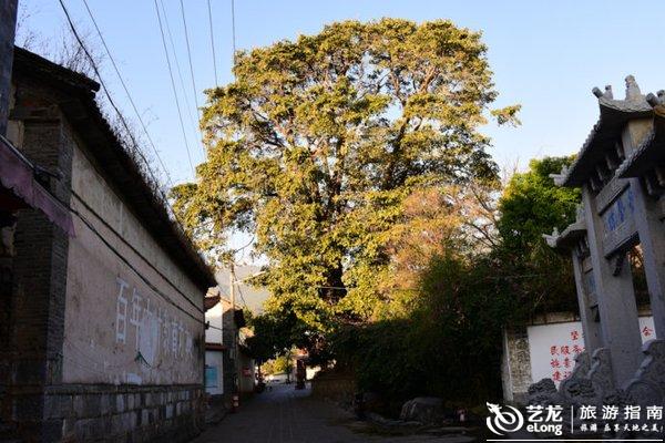 步入高铁时代,大理这十个小地方等你来打卡 步入高铁时代,大理这十个小地方等你来打卡