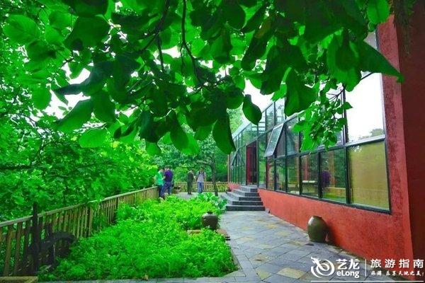 北京大森林里隐藏的这个木屋民宿你准不知道!采蘑菇看云海又避暑 北京大森林里隐藏的这个木屋民宿你准不知道!采蘑菇看云海又避暑