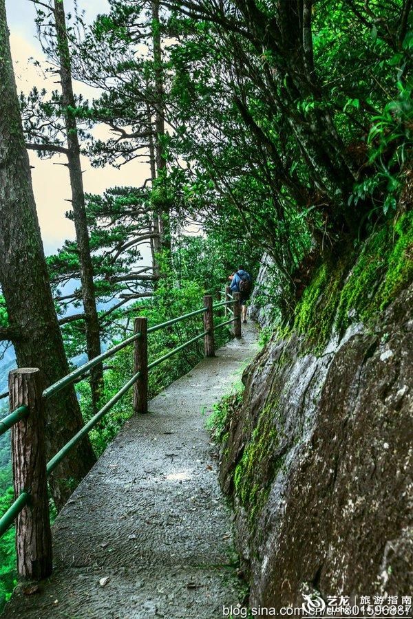龙泉山,江浙之巅,深藏在浙南的人间秘境 龙泉山,江浙之巅,深藏在浙南的人间秘境