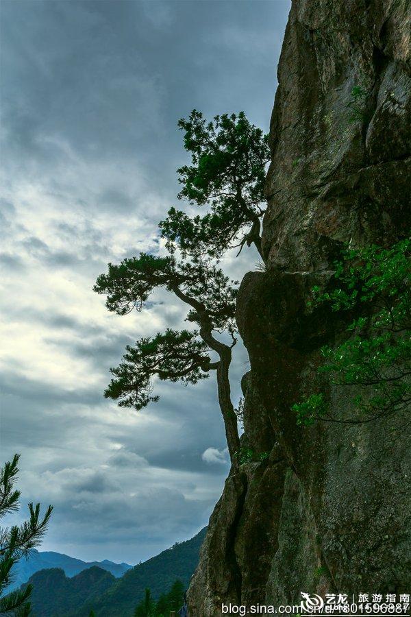 龙泉山,江浙之巅,深藏在浙南的人间秘境 龙泉山,江浙之巅,深藏在浙南的人间秘境