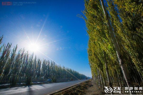 从阿克苏机场往市区方向,车子行驶在宽阔的柏油路上,两边是一排排高图片