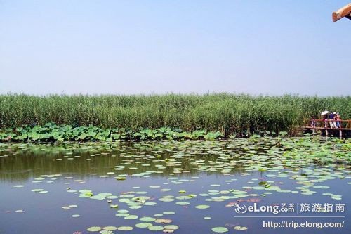 任丘景点图片|任丘图片