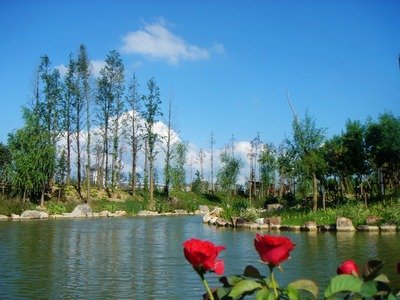 盐渎公园旅游,盐渎公园旅游攻略,6月北京旅游