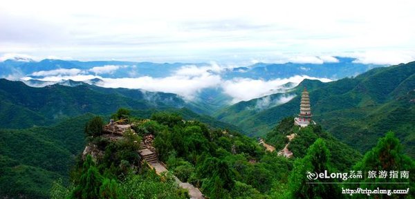 唐布拉草原-美图