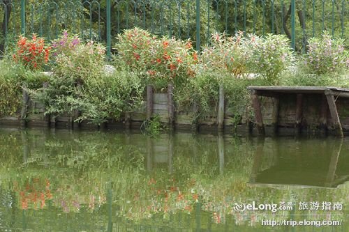 青岛植物园景点图片|青岛植物园图片-艺龙旅游指南