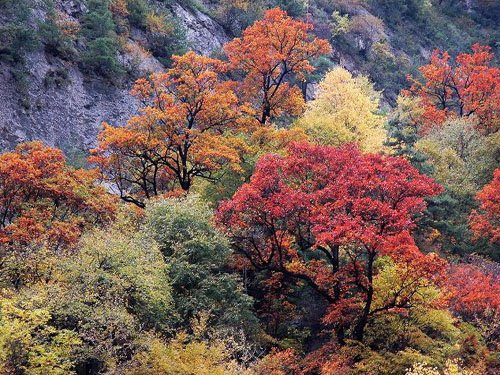 漳县贵清山旅游,北京贵清山旅游攻略,1月漳县攻略德亚邮直图片