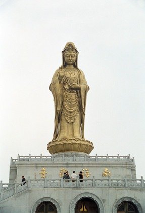 南海立像观音旅游,南海立像观音旅游攻略,6月凤滩攻略山龙驼旅游图片