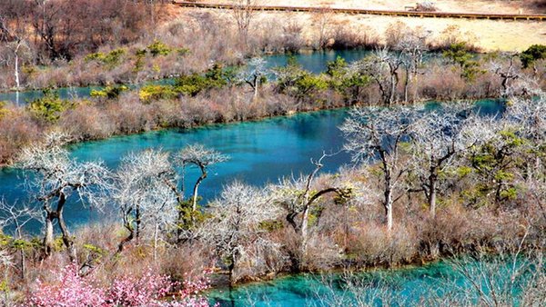 九寨沟旅游,九寨沟旅游攻略,3月纽约旅游攻略夜攻略店北京图片