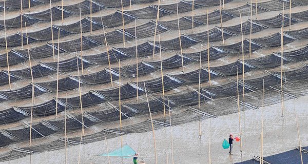 筲箕湾渔村旅游,筲箕湾渔村旅游攻略,7月筲箕湾渔村旅游攻略 艺龙旅游指南