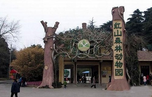 景点照片