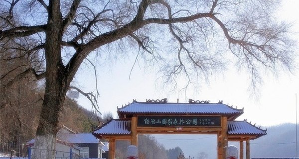 鸡冠山风景区位于梅河口市吉兴村附近,风景区内山峦叠嶂、绵亘曲折,峻秀多姿的山峦构成了风景的骨架,因山峰形状如鸡冠而得名。 区内有千米左右的山峰3座,山势险峻,古树参天,怪石林立,森林资源和野生动物资源十分丰富。长年流淌不止的山泉水溪百余处,泉水清流透明,甘甜可口
