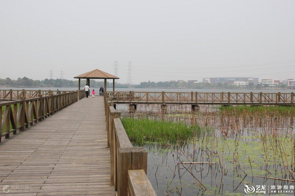 沙湖生态公园