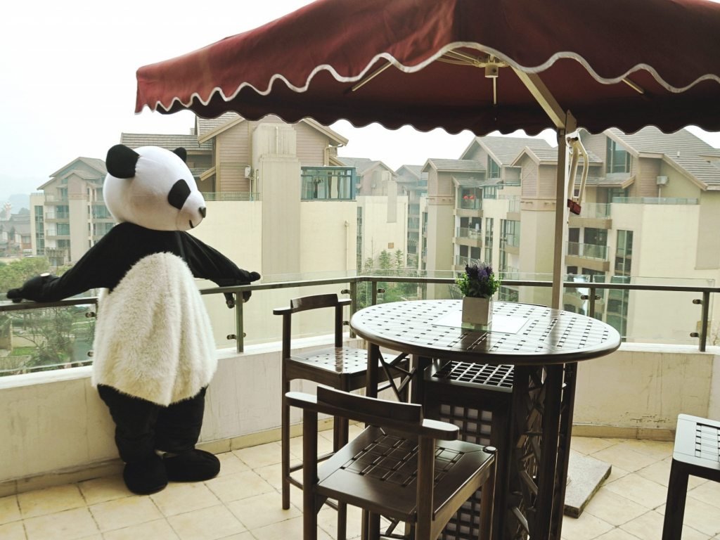 长隆企鹅酒店和熊猫酒店本月18日升级改造后复业