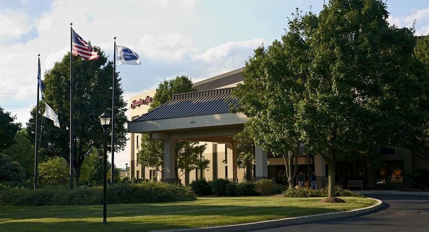 (zimmers at the forest)