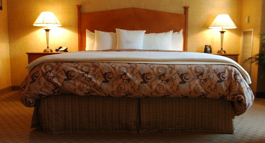 爱迪生酒店 (hotel edison)