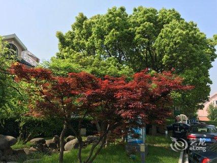 太仓金陵花园酒店