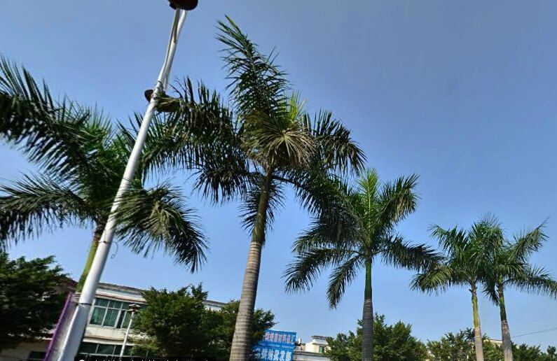 Huizhou Yaxin Business Hotel