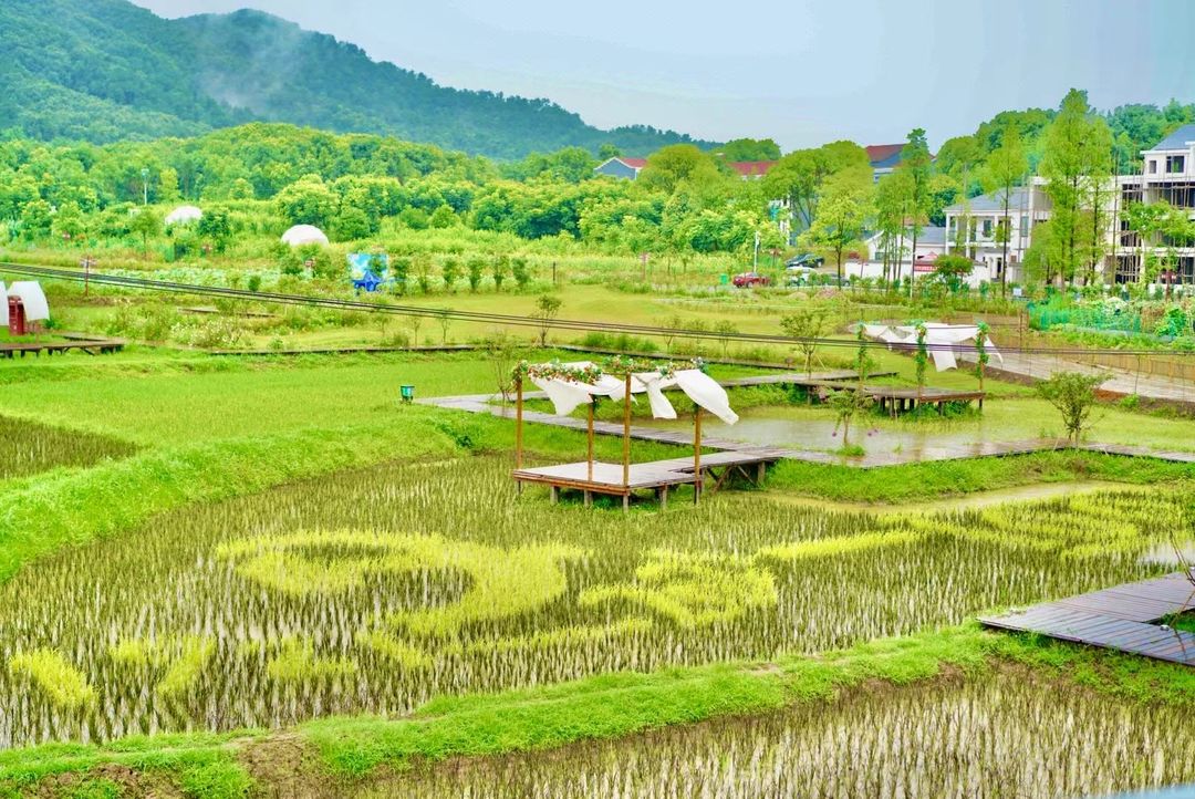 武漢十里蓮華養心谷